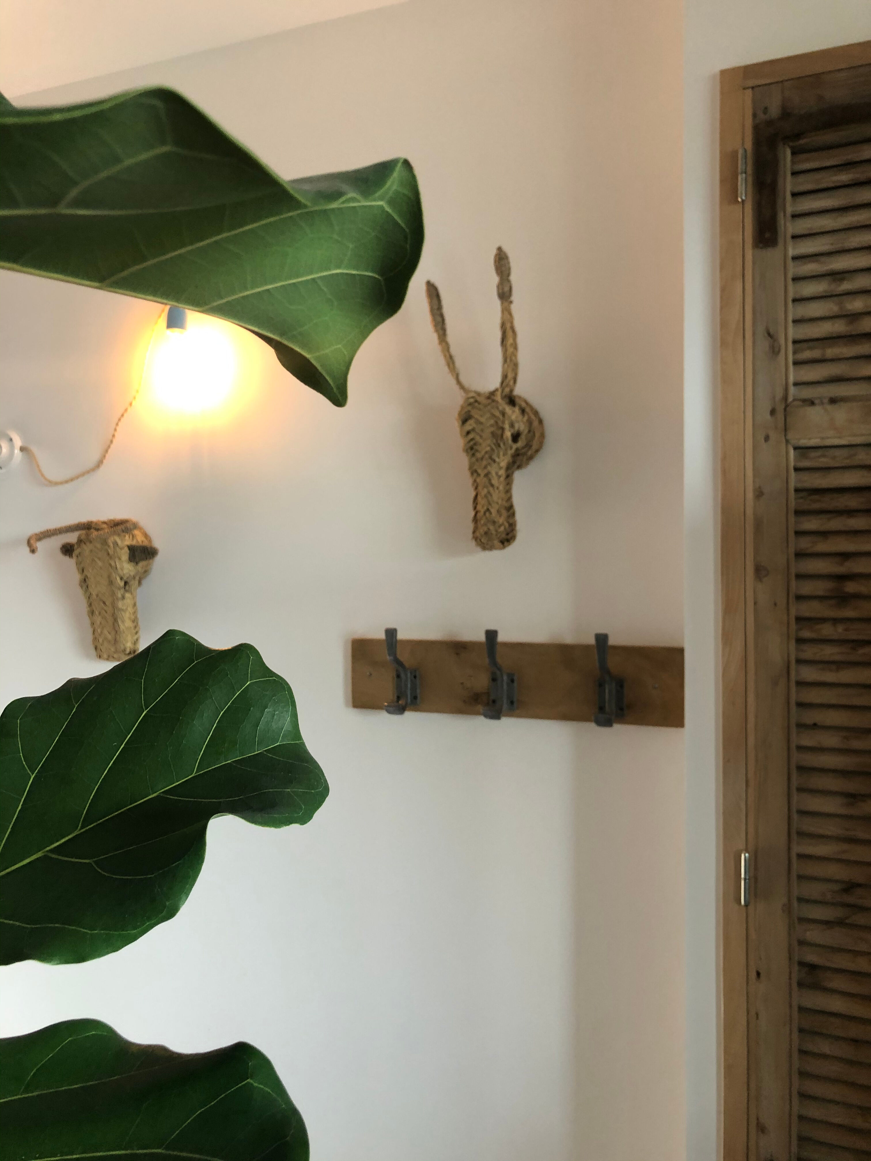 Three-hooked patères on blond oak from a local school in the 50s/60s