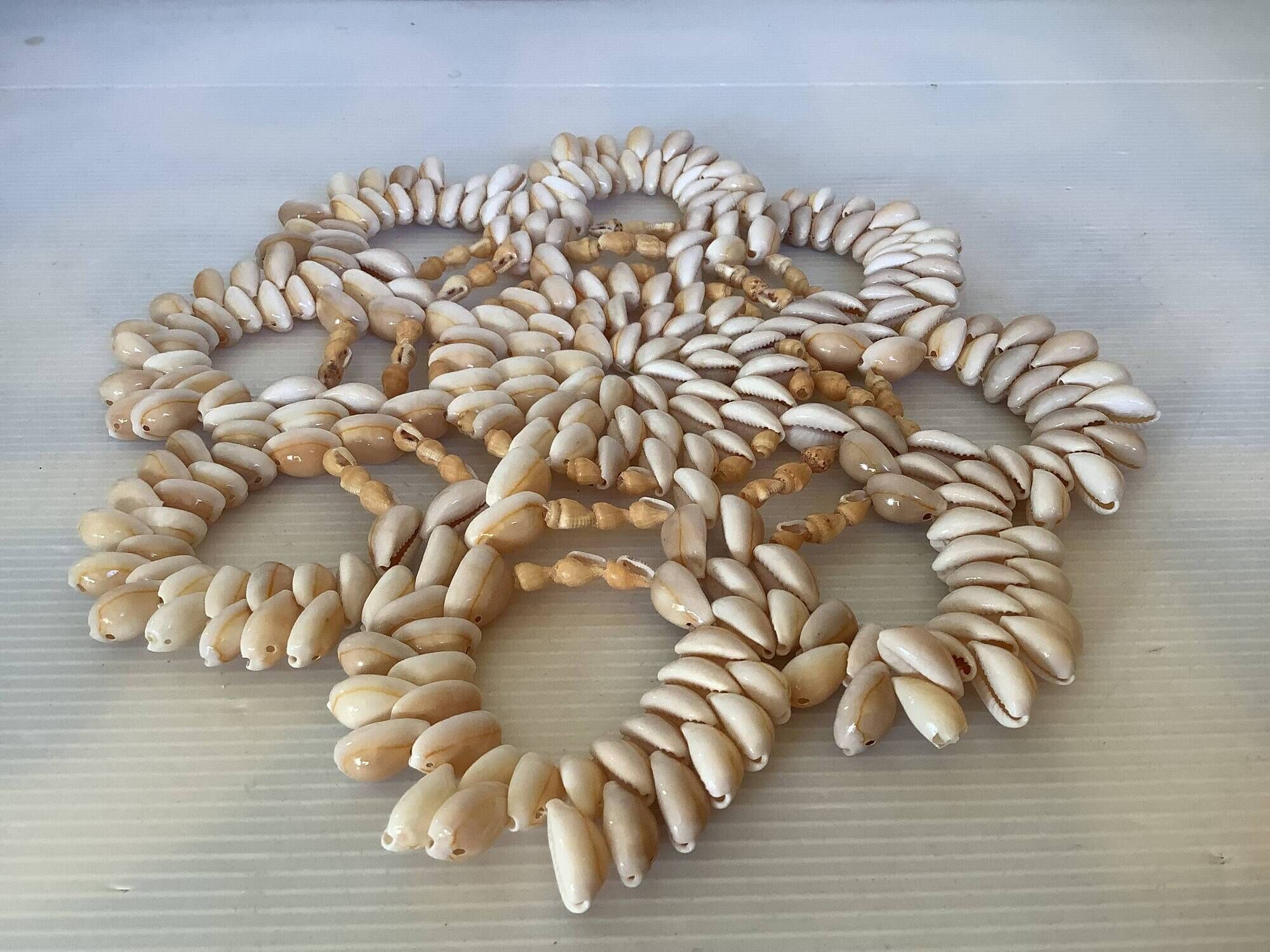 Trivet made of seashells