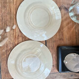 2 small plates 🍂 iron earth