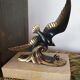 Paire de Serre livre vintage oiseaux