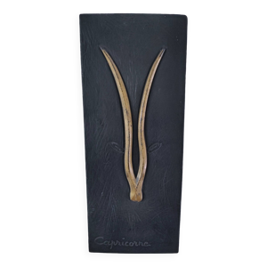 Capricorne signe zodiaque