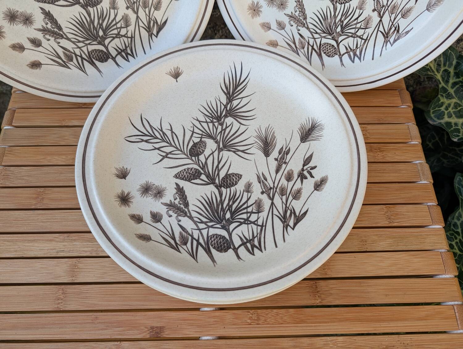 Assiettes Pinewood Grindley Angleterre années 70