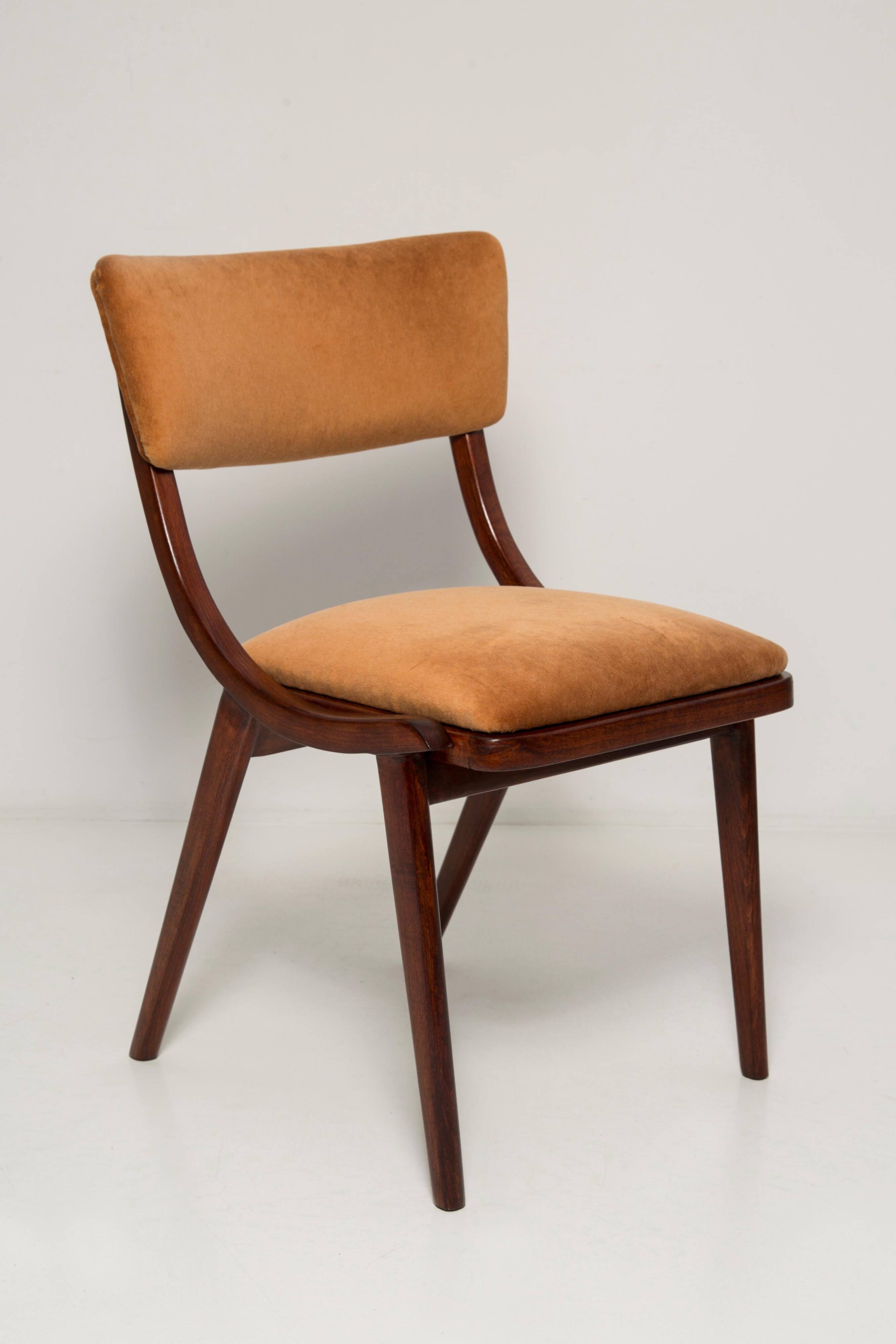 Mid-Century Modern Bumerang Chair, Brown Beige Velvet, Poland, 1960s