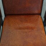 Luxury set of 4 comfortable dining chairs made of sheepskin leather