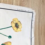 Rossignol pedagogical poster