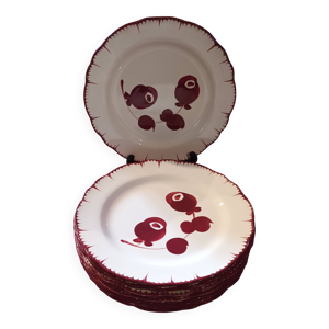 12 assiettes plates Salins - bains