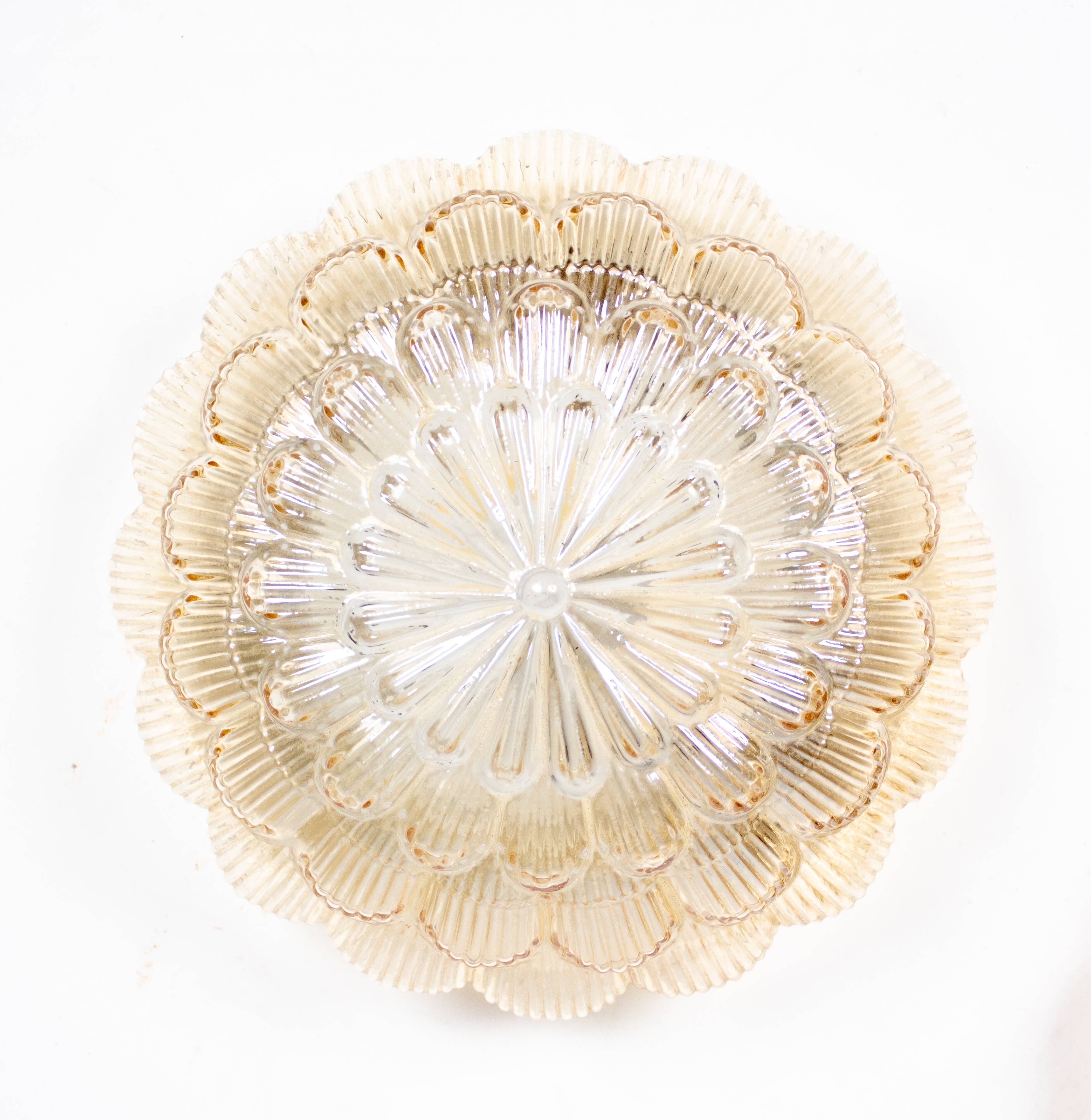 Pair of smoked glass ceiling lights