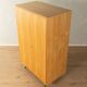 Rare wardrobe from the 1950s by Erich Stratmann for Oldenburger Möbelwerkstätten