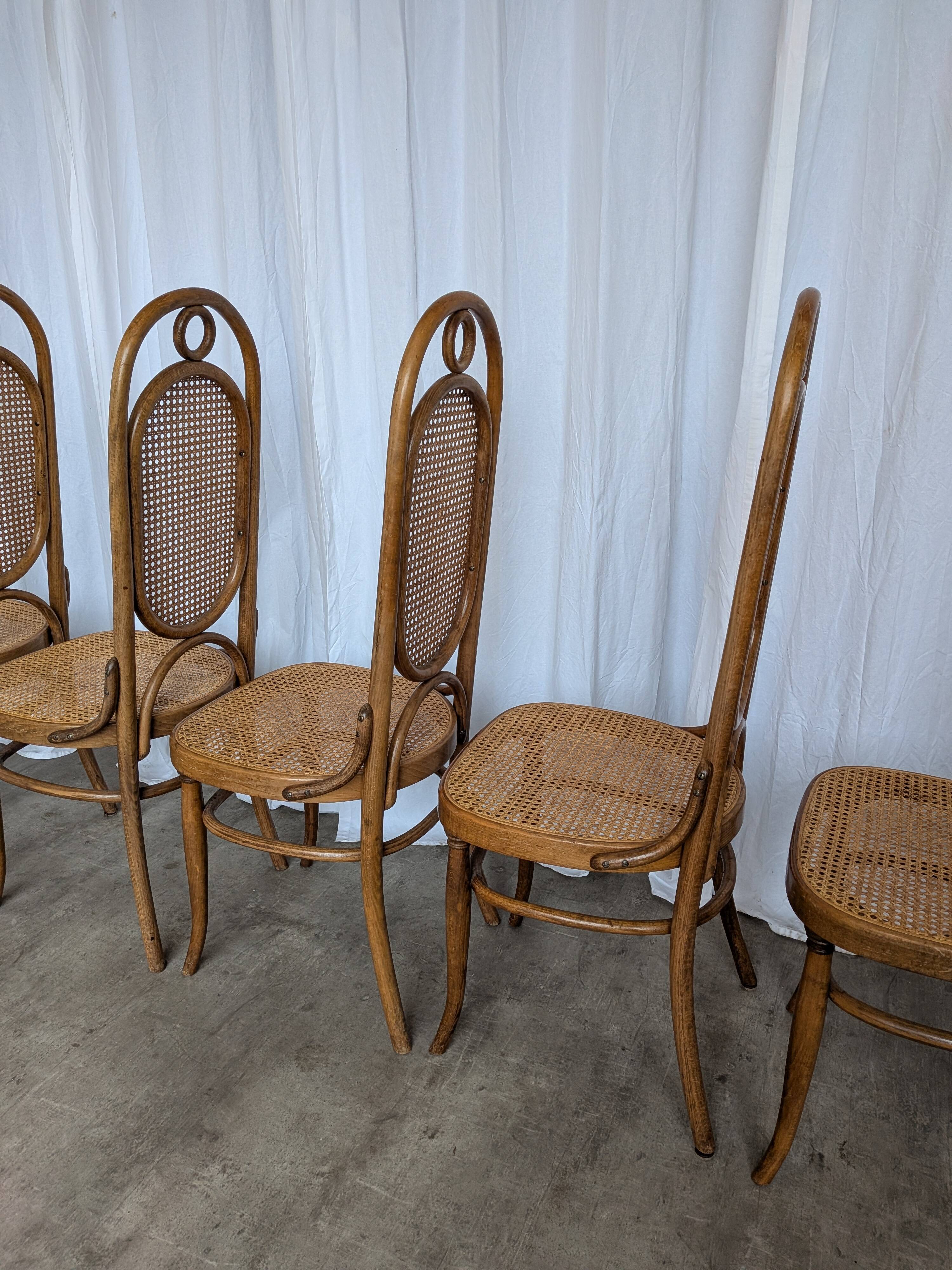 Set of 6 Vintage Bentwood Cane Dining Chair, Thonet Style, 1970s Yugoslavia