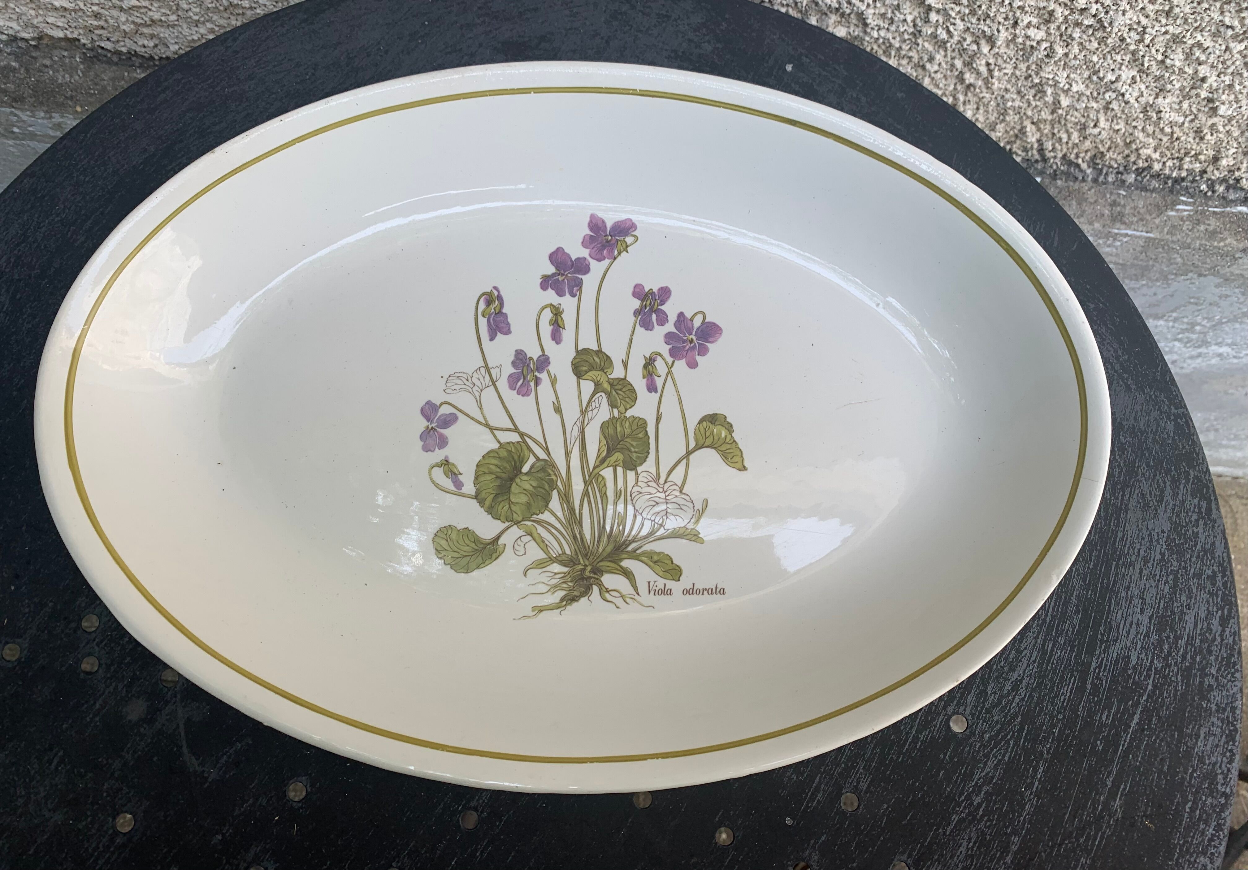 Serving dish in earthenware herbarium model, viola odorata mill of wolves orchies france vintage