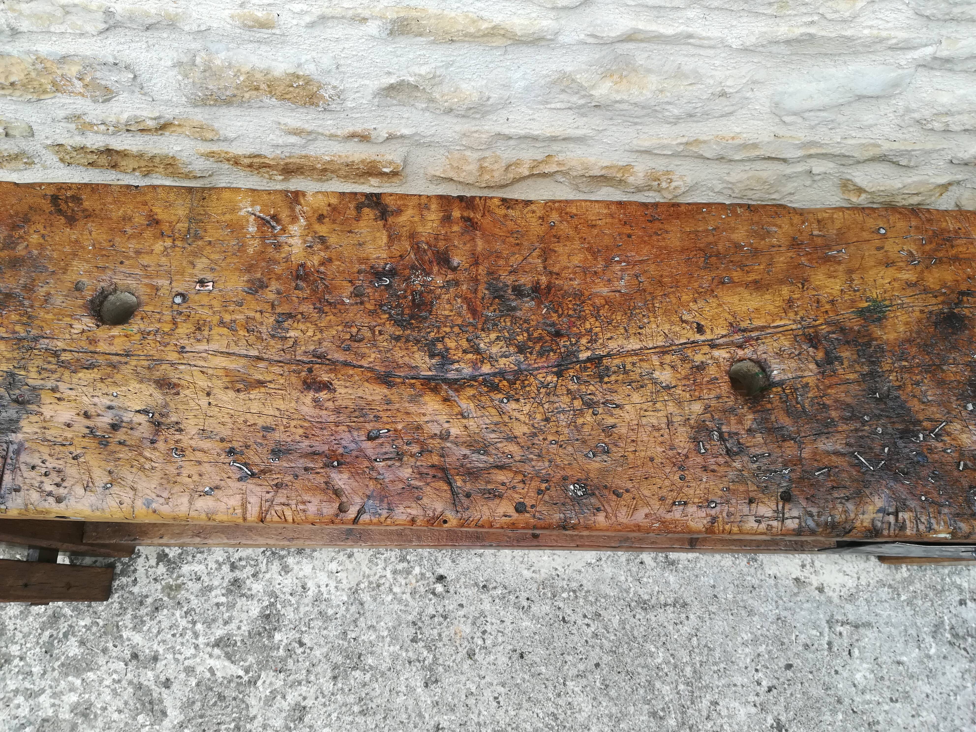 Established in elm and oak