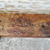 Established in elm and oak