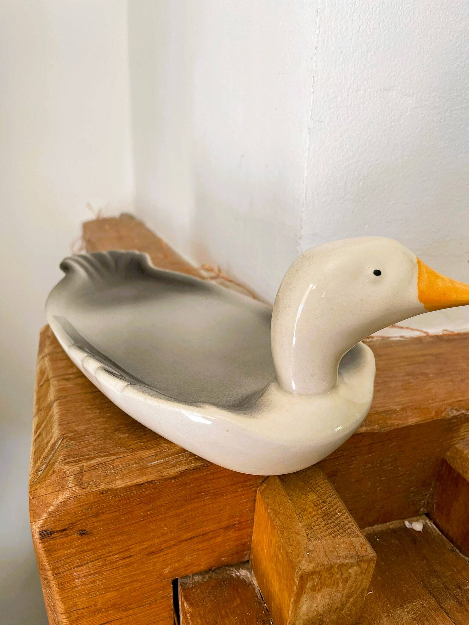 Plate barbotine duck / goose (French pottery)