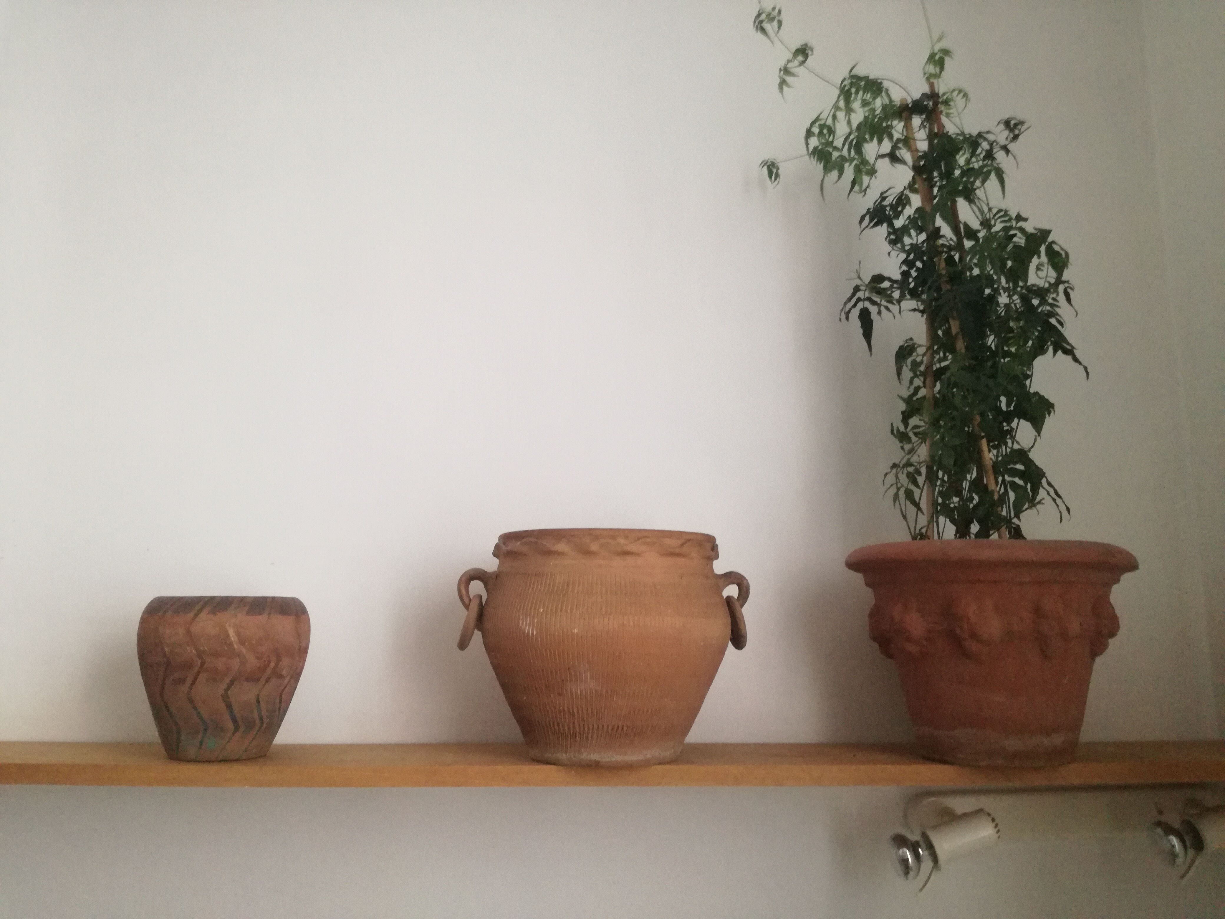 Multicolored terracotta pot