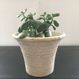 Cache pot bleached terracotta