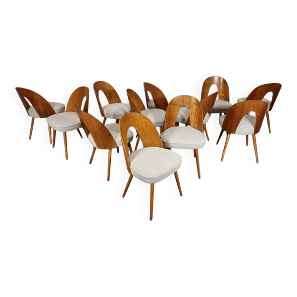 Chaises de salle à manger d'Antonin Suman, années 1960, ensemble de 12