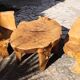 Living room 2 armchairs & coffee table in elm brutalist design 1950