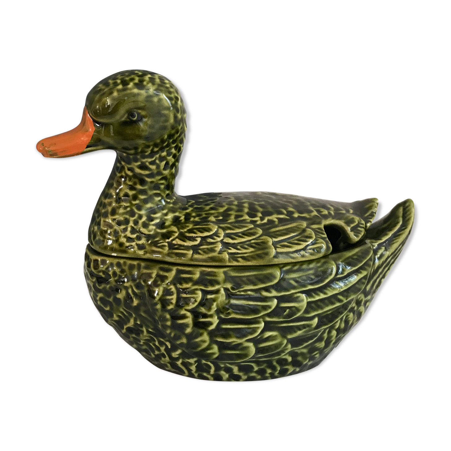 Empty dabbling duck pocket