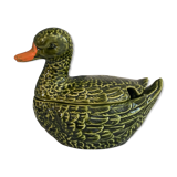 Empty dabbling duck pocket