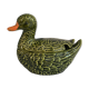 Empty dabbling duck pocket