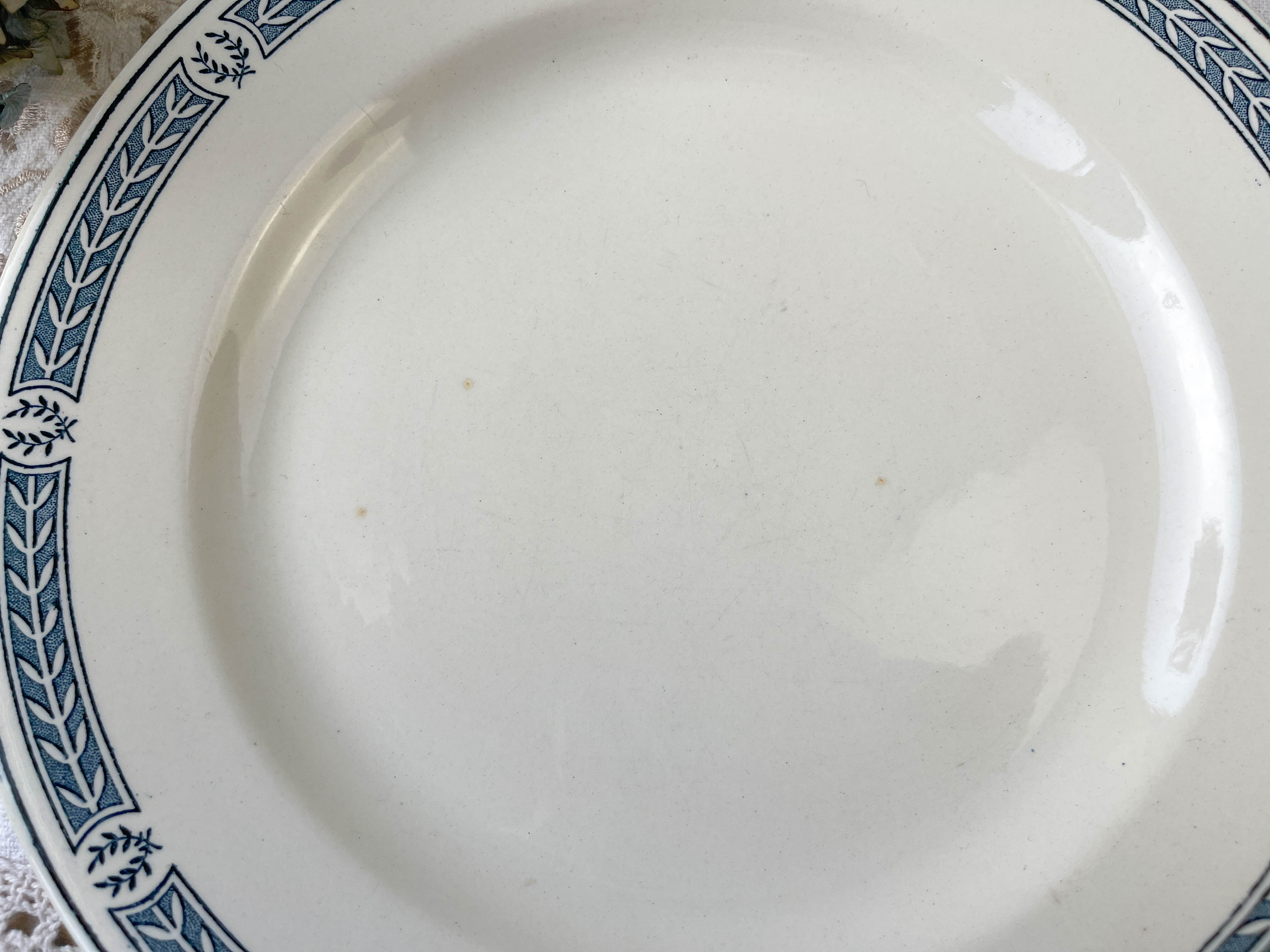 9 vintage flat plates iron earth salins model "castellane"