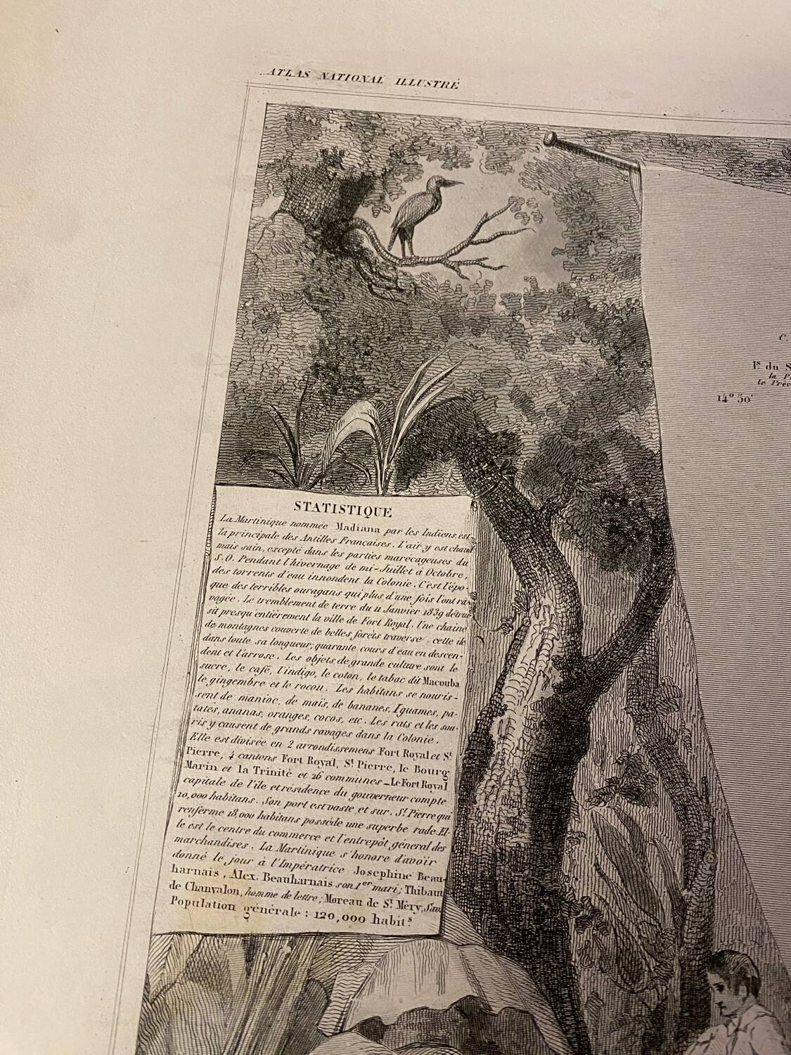 Old illustrated map of French colonies Martinique.