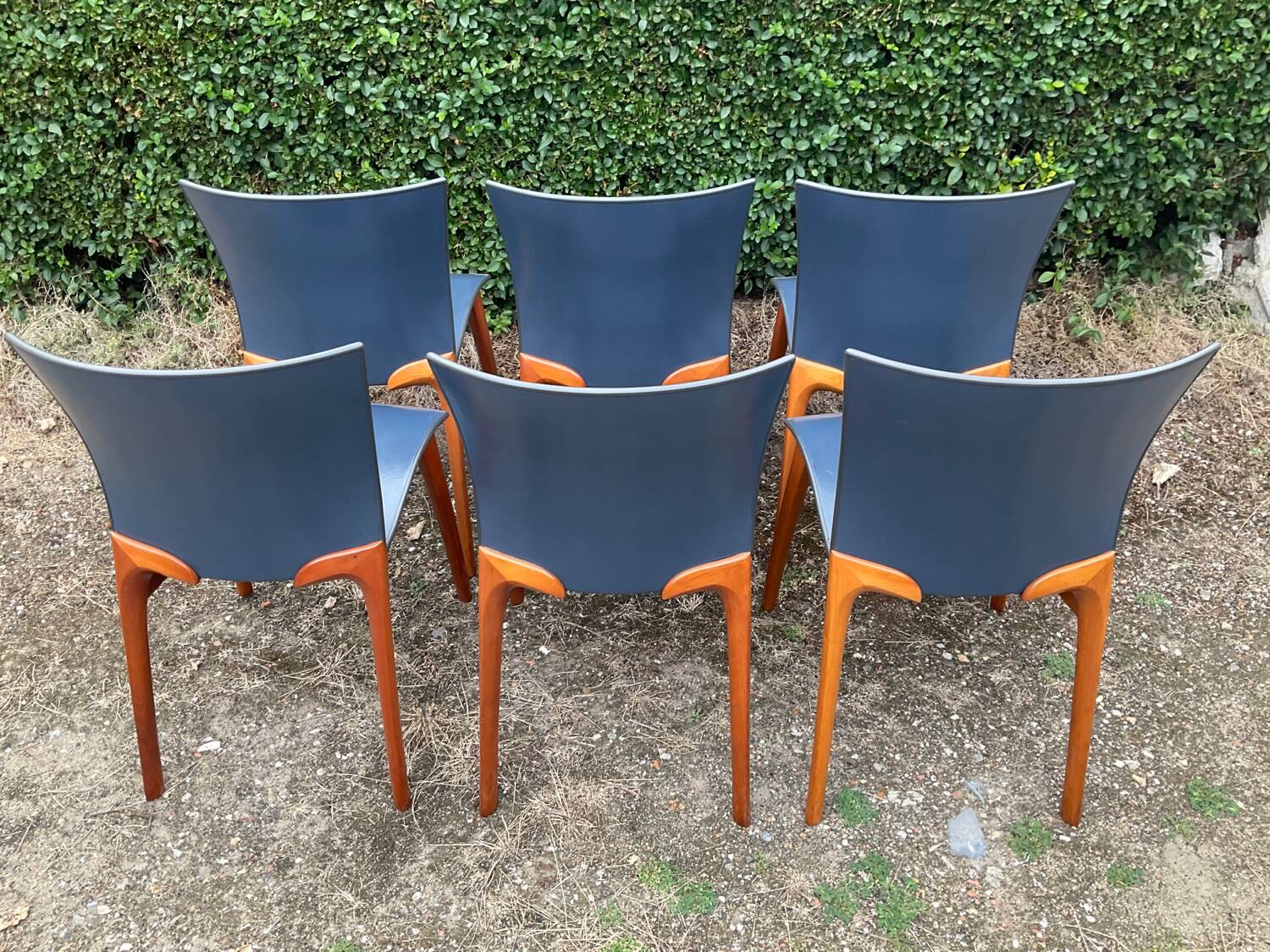 Série de 6 chaises Cassina par Josep Llusca