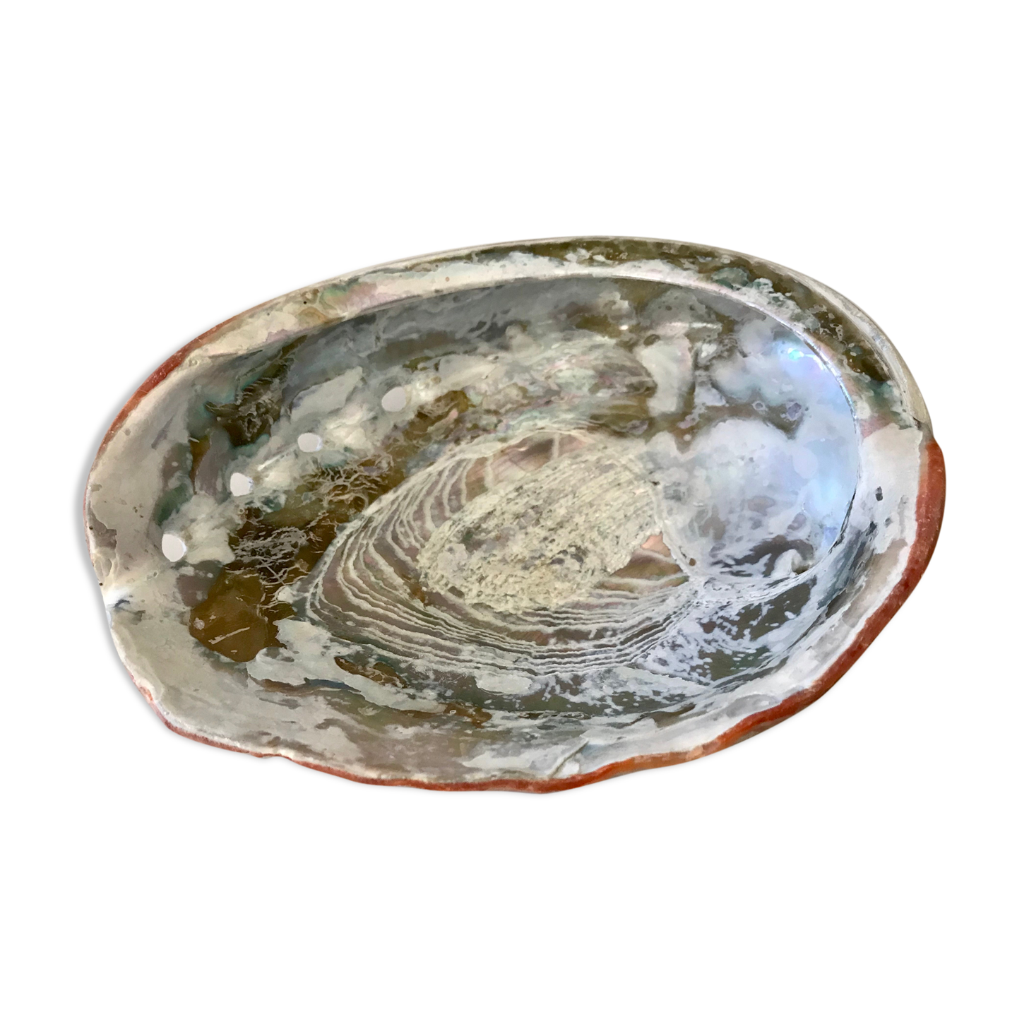 Shell trinket bowl in mother-of-pearl