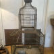 Cage à oiseaux 1900