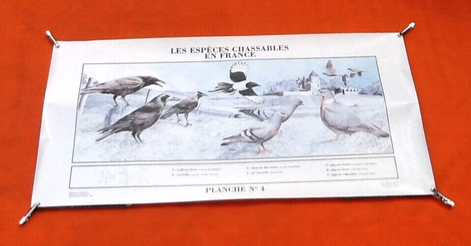 Poster by Michel Michel Cambrony