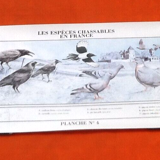 Poster by Michel Michel Cambrony