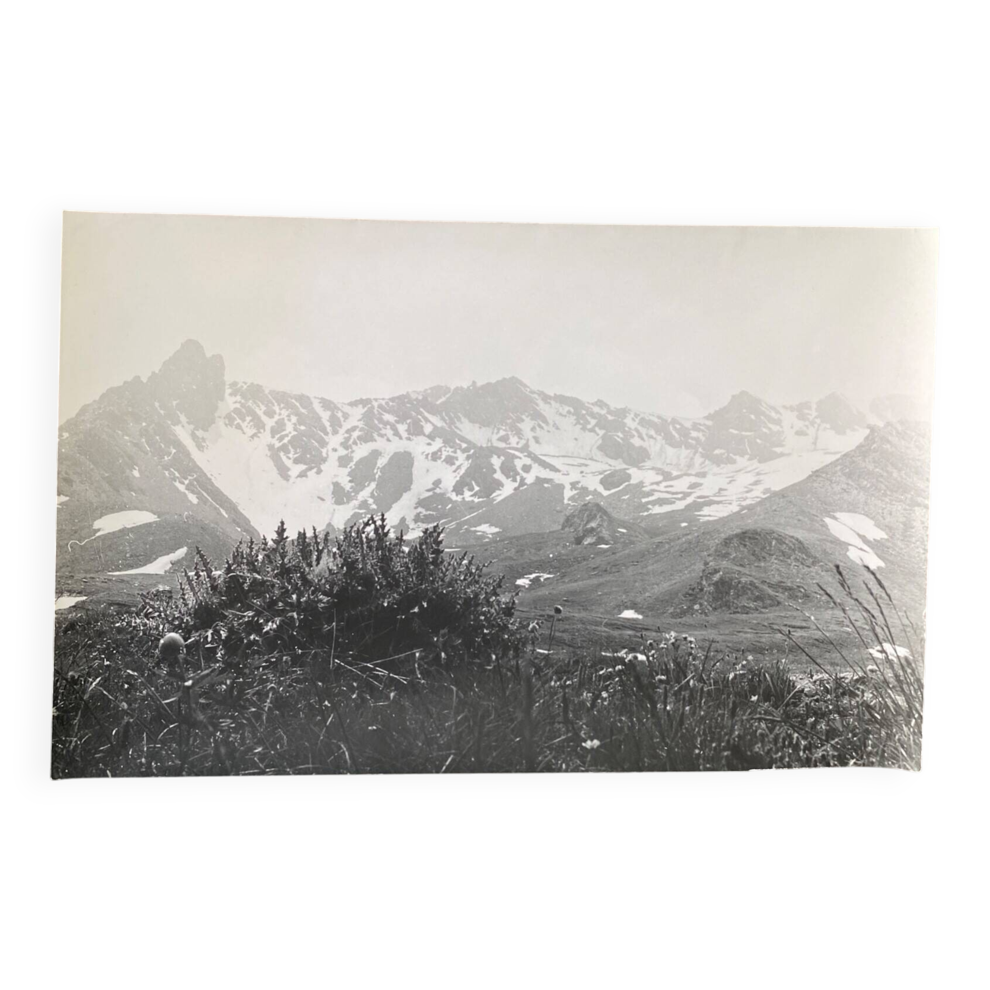 Silver gelatin photograph, mountain mist, vegetation, Bernard Darot, 20th century