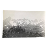 Silver gelatin photograph, mountain mist, vegetation, Bernard Darot, 20th century