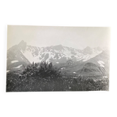 Photo argentique brume montagne Végétation Bernard Darot XXe