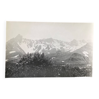 Silver gelatin photograph, mountain mist, vegetation, Bernard Darot, 20th century