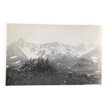 Silver gelatin photograph, mountain mist, vegetation, Bernard Darot, 20th century