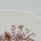 Superbe Assiette Plat Sur Piédouche XIXème Porcelaine Blanche Décor Aux Ois