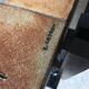Table basse Roger Capron