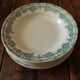 Lot 8 hollow plates Terre de Fert vert Fleurs Argenton Saint Amand