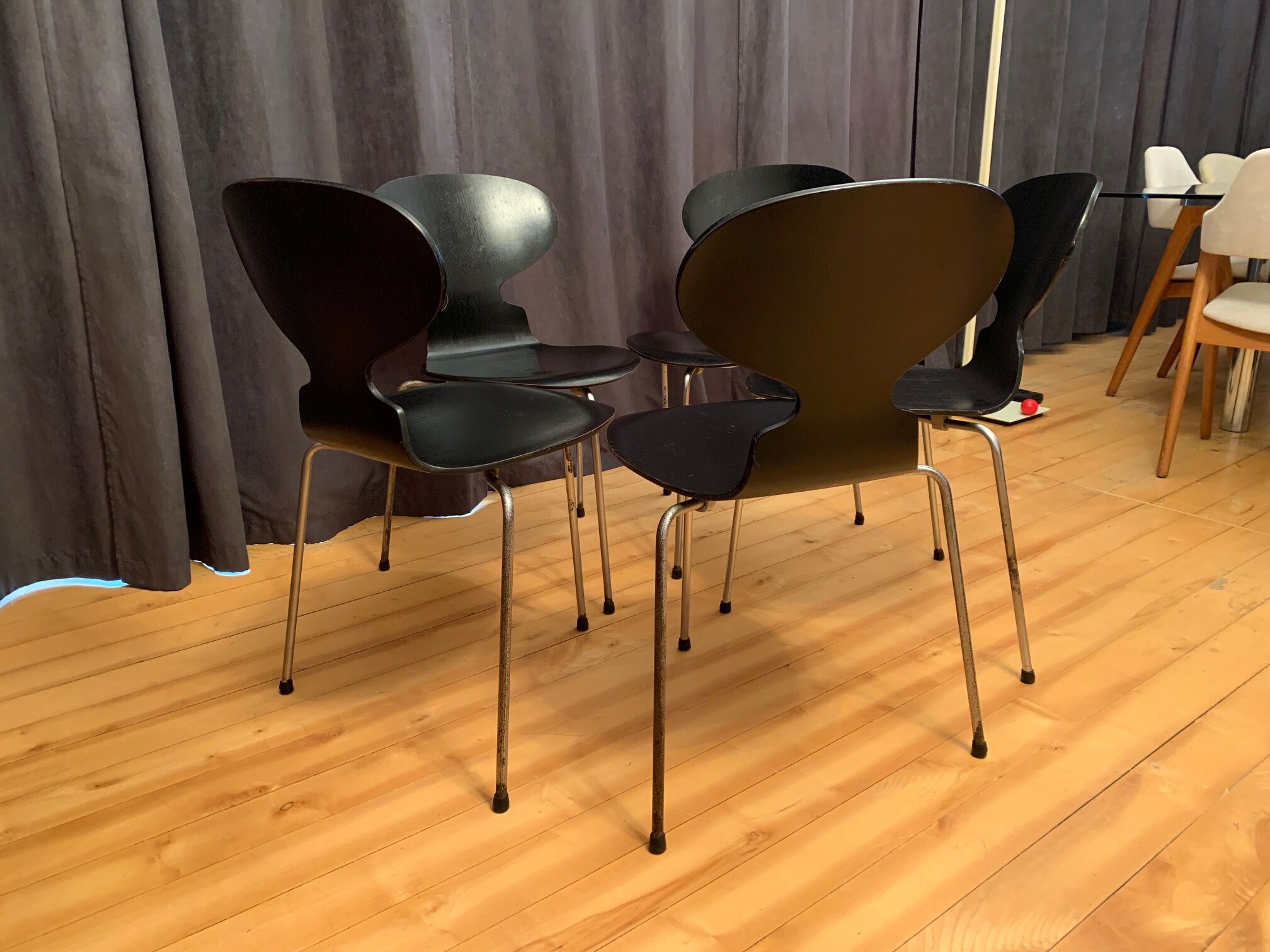 A set of five chairs Early model 3100 by Arne Jacobsen, Fritz Hansen, Denmark, 1963