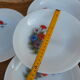 Set of 10 plates flowers of the fields - Arcopal - 70s - Vintage authentic