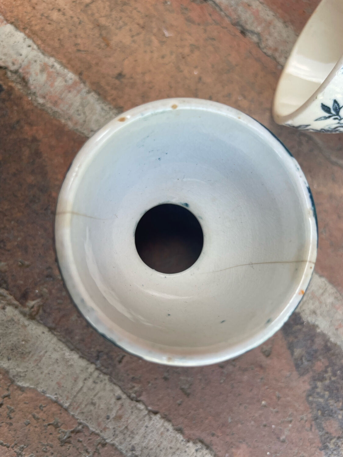 Cockroaches diabolo Terre de Fer