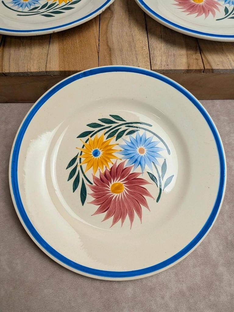 Set of 6 ironstone plates HBC – Rustic Model – Hand-painted floral design