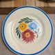 Set of 6 ironstone plates HBC – Rustic Model – Hand-painted floral design