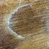 Oak table - freeform