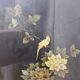 Vintage Chinese cabinet with gold leaf, flowers and birds (bar cabinet)