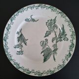 Antique plate in Saint Amand faience
