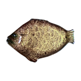 Plat à poisson Marius Giuge