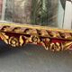 Antique mirror above a chest of drawers or between two windows, carved wood, 18th century