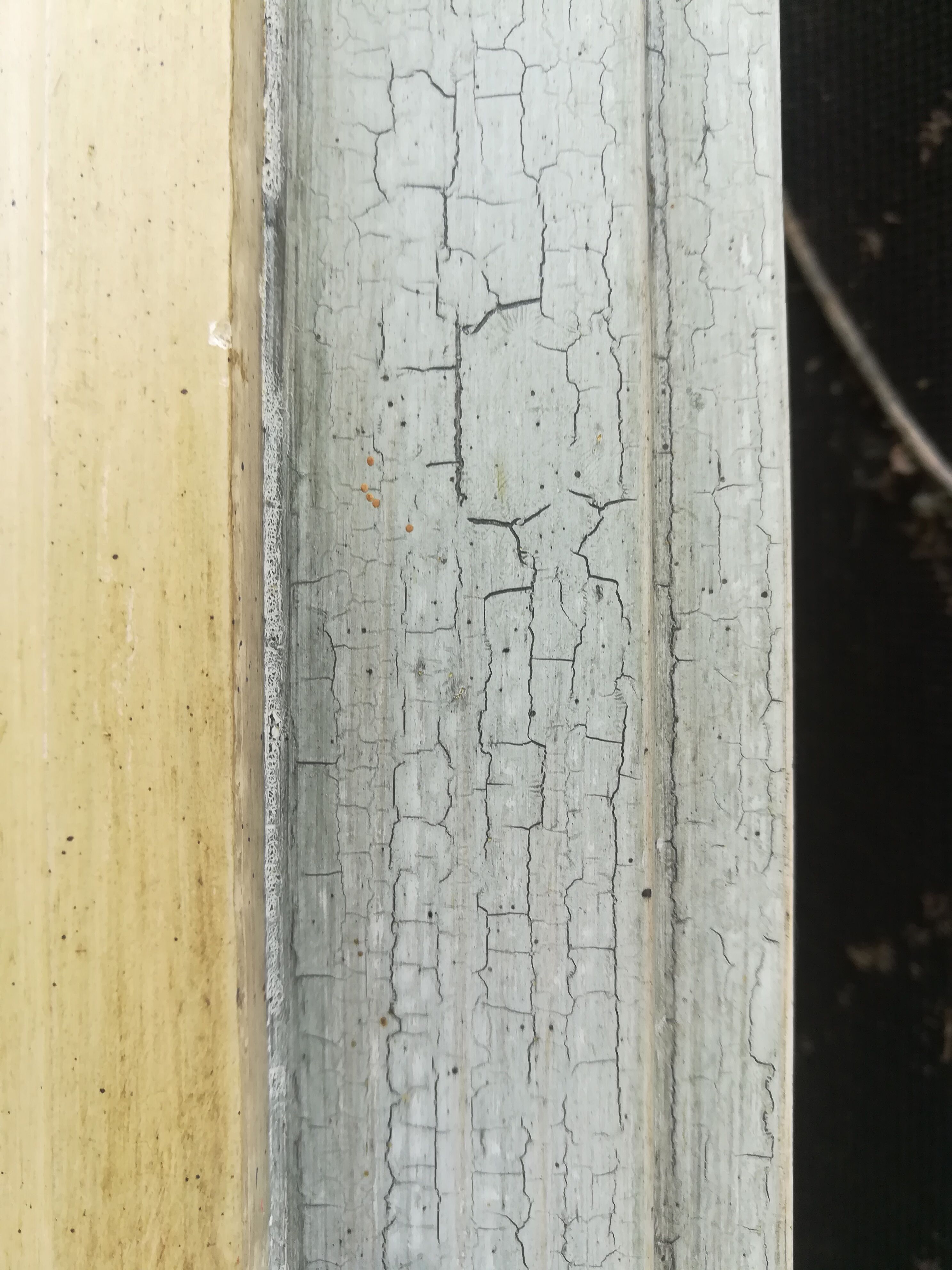 Miroir trumeau style Louis XVI en bois patiné